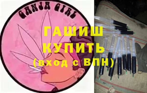 шишки Гусев